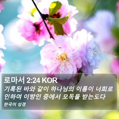 로마서 2:24 KOR Bible Verse Image