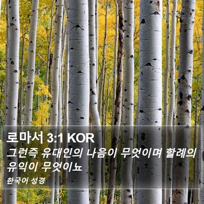 로마서 3:1 KOR Bible Verse Image