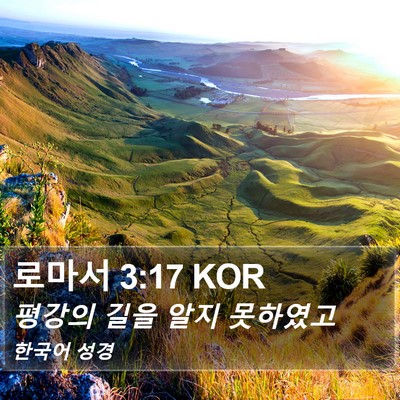 로마서 3:17 KOR Bible Verse Image