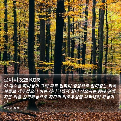 로마서 3:25 KOR Bible Verse Image