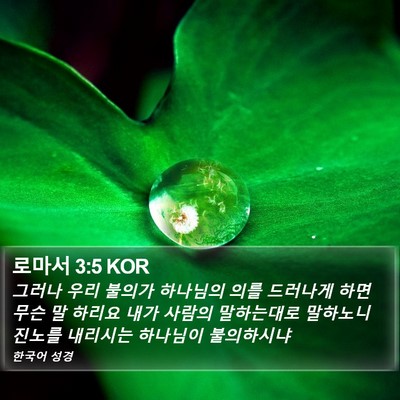 로마서 3:5 KOR Bible Verse Image