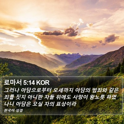 로마서 5:14 KOR Bible Verse Image