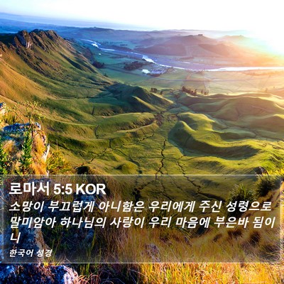 로마서 5:5 KOR Bible Verse Image