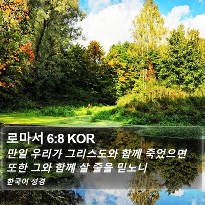 로마서 6:8 KOR Bible Verse Image