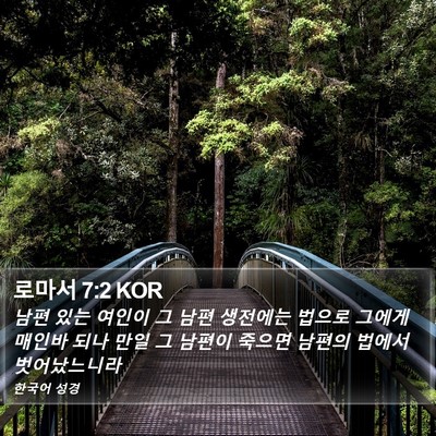 로마서 7:2 KOR Bible Verse Image