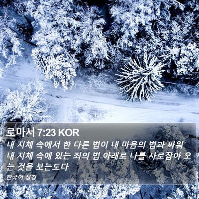 로마서 7:23 KOR Bible Verse Image