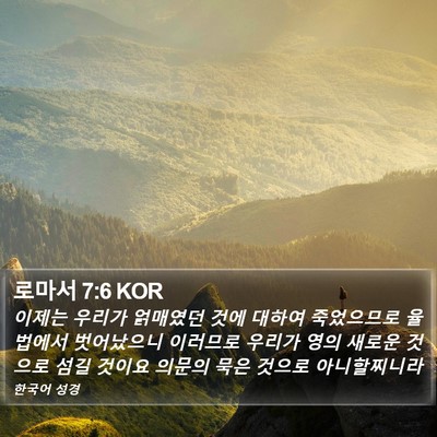 로마서 7:6 KOR Bible Verse Image