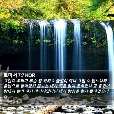 로마서 7:7 KOR Bible Verse Image