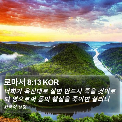 로마서 8:13 KOR Bible Verse Image