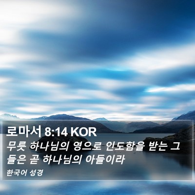 로마서 8:14 KOR Bible Verse Image