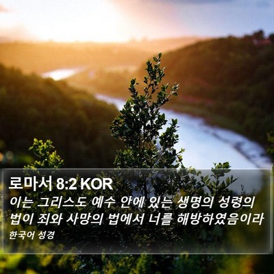 로마서 8:2 KOR Bible Verse Image