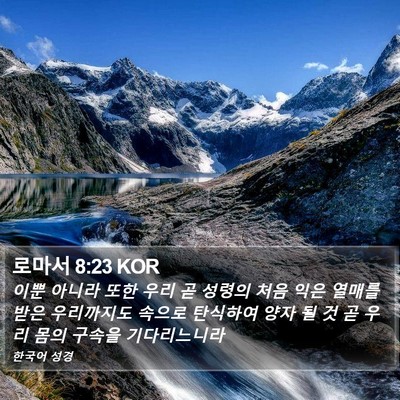 로마서 8:23 KOR Bible Verse Image
