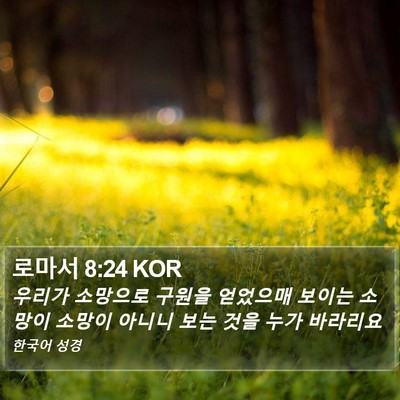 로마서 8:24 KOR Bible Verse Image