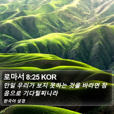로마서 8:25 KOR Bible Verse Image