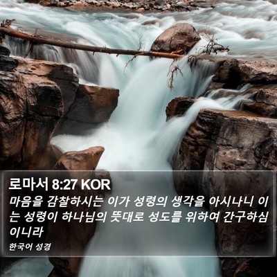 로마서 8:27 KOR Bible Verse Image