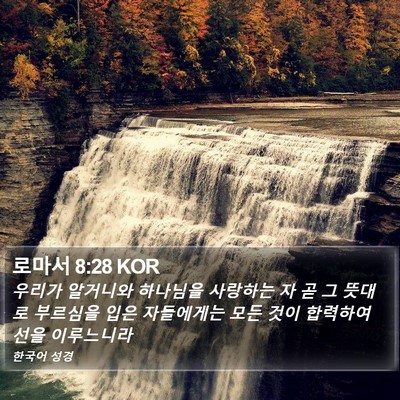 로마서 8:28 KOR Bible Verse Image