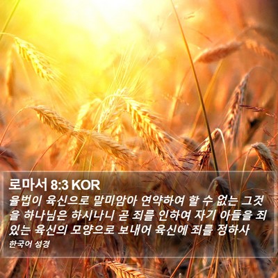로마서 8:3 KOR Bible Verse Image