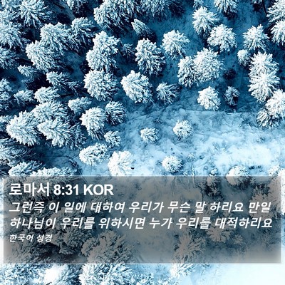 로마서 8:31 KOR Bible Verse Image