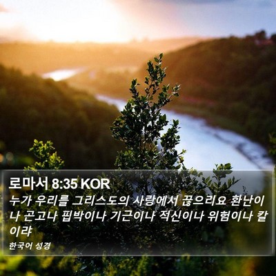 로마서 8:35 KOR Bible Verse Image