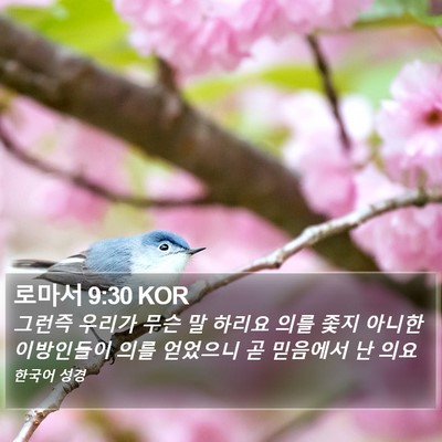 로마서 9:30 KOR Bible Verse Image