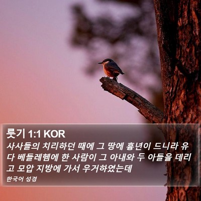 룻기 1:1 KOR Bible Verse Image