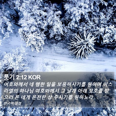 룻기 2:12 KOR Bible Verse Image