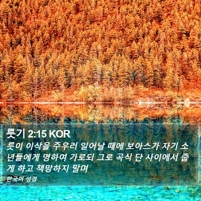 룻기 2:15 KOR Bible Verse Image