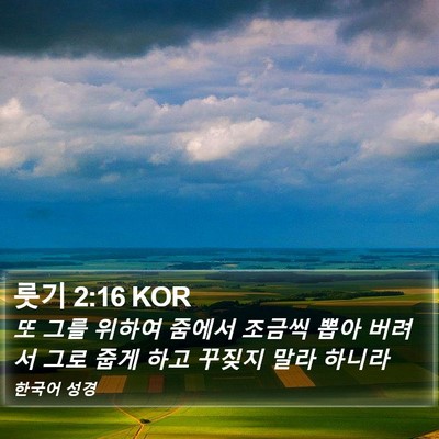 룻기 2:16 KOR Bible Verse Image