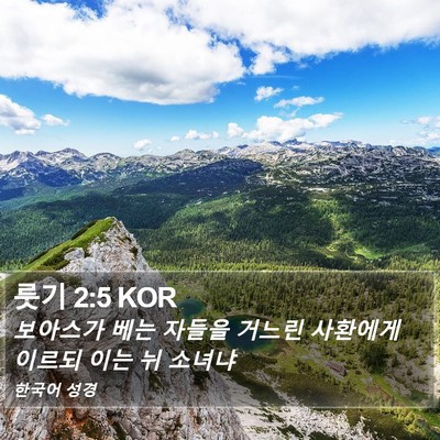 룻기 2:5 KOR Bible Verse Image