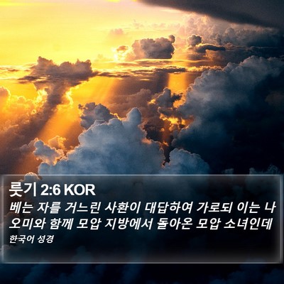 룻기 2:6 KOR Bible Verse Image