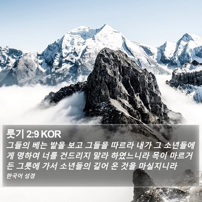 룻기 2:9 KOR Bible Verse Image