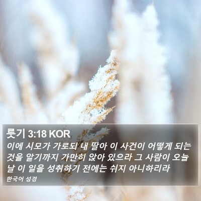 룻기 3:18 KOR Bible Verse Image