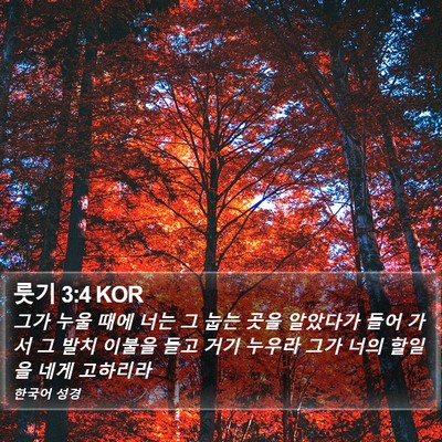 룻기 3:4 KOR Bible Verse Image