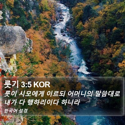 룻기 3:5 KOR Bible Verse Image