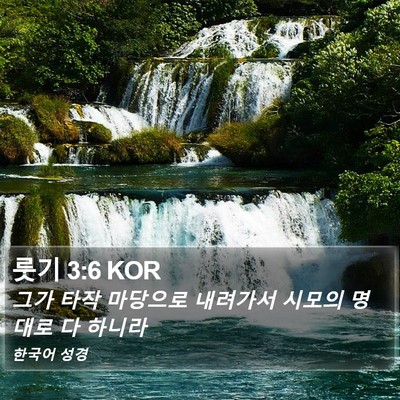 룻기 3:6 KOR Bible Verse Image