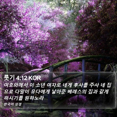 룻기 4:12 KOR Bible Verse Image