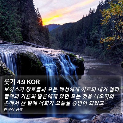 룻기 4:9 KOR Bible Verse Image