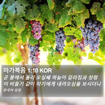 마가복음 1:10 KOR Bible Verse Image