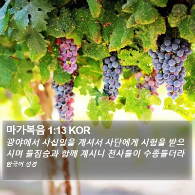 마가복음 1:13 KOR Bible Verse Image