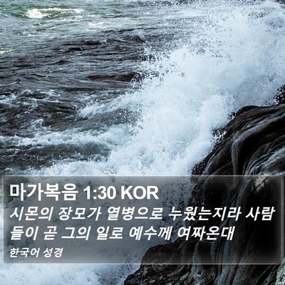 마가복음 1:30 KOR Bible Verse Image