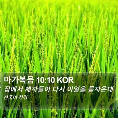 마가복음 10:10 KOR Bible Verse Image