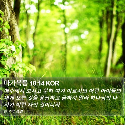 마가복음 10:14 KOR Bible Verse Image