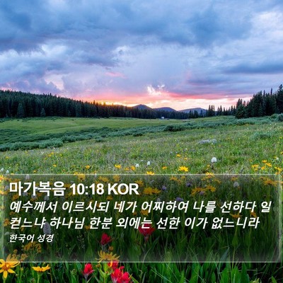 마가복음 10:18 KOR Bible Verse Image