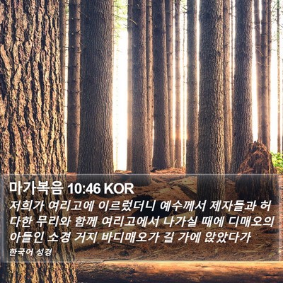 마가복음 10:46 KOR Bible Verse Image