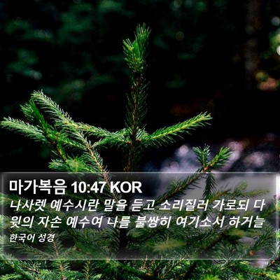 마가복음 10:47 KOR Bible Verse Image