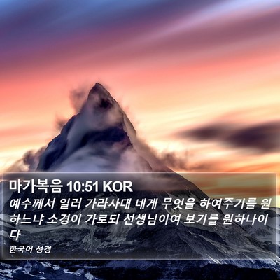 마가복음 10:51 KOR Bible Verse Image
