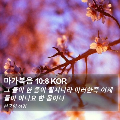 마가복음 10:8 KOR Bible Verse Image