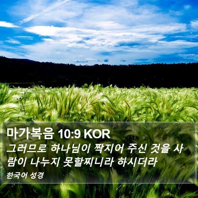 마가복음 10:9 KOR Bible Verse Image