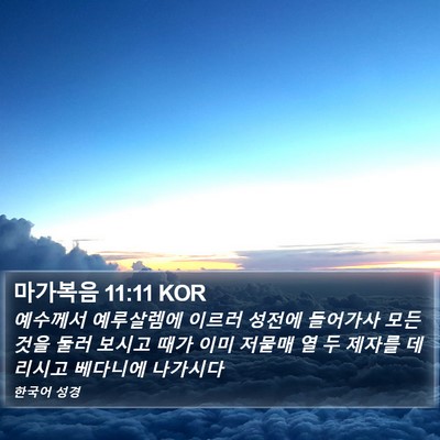 마가복음 11:11 KOR Bible Verse Image