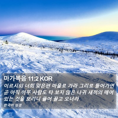 마가복음 11:2 KOR Bible Verse Image